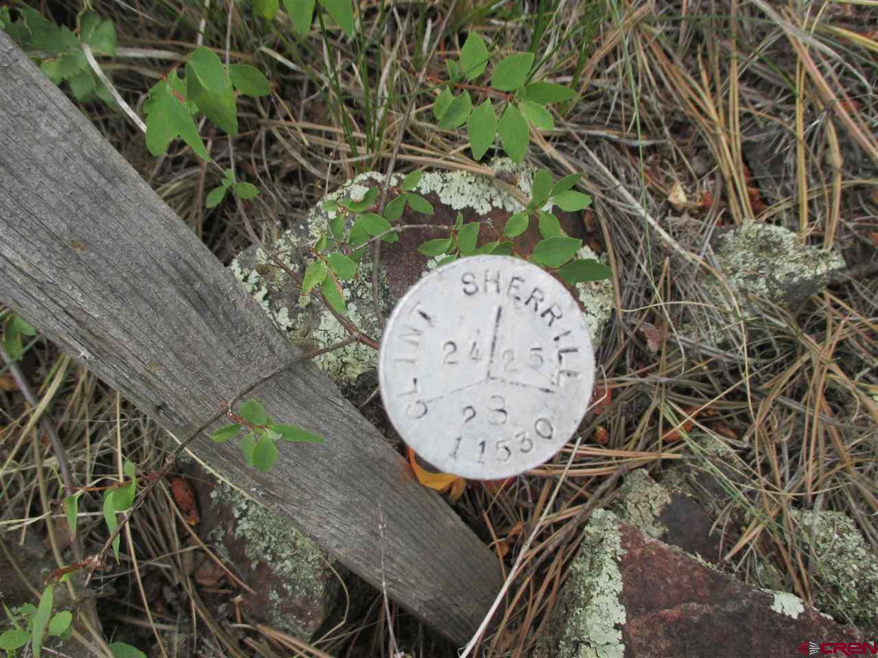 1400 Slumgullion Road Lake City, CO 81235 - Photo 32 of 35 a picture of a wall with a wall clock and a large tree