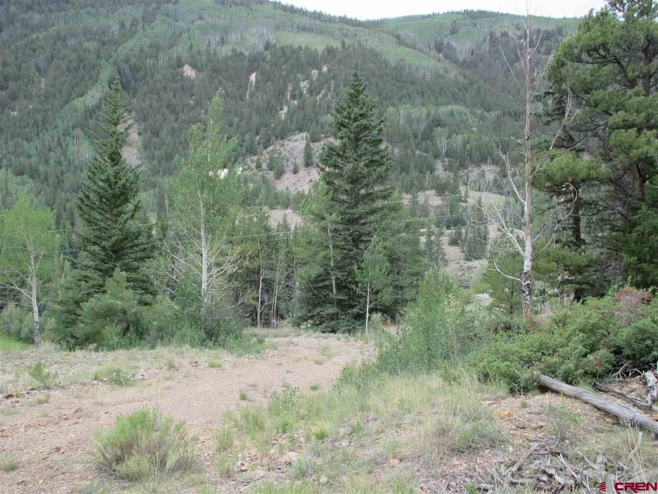 1400 Slumgullion Road Lake City, CO 81235 - Photo 34 of 35 a view of a forest with trees in the background