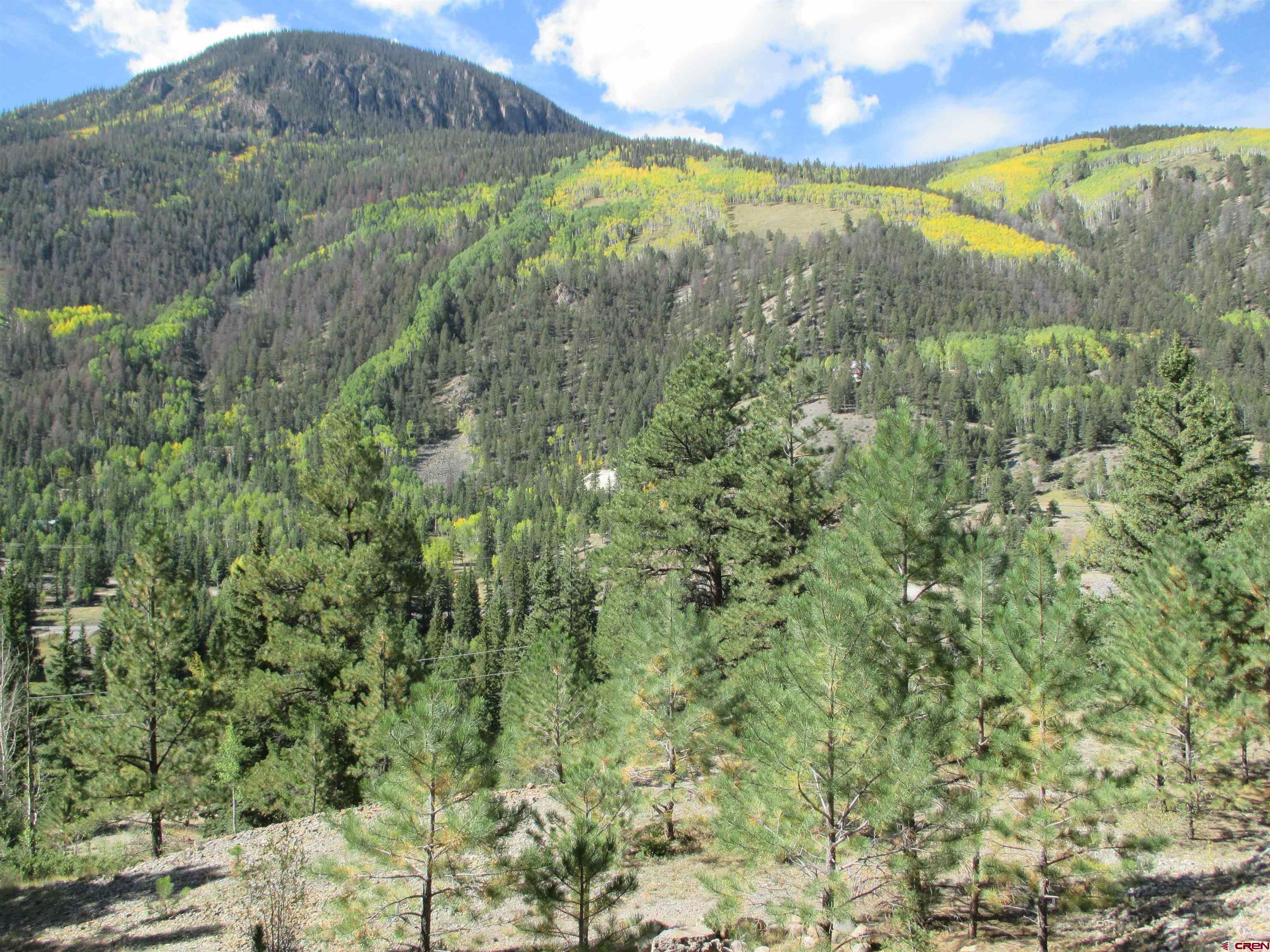 1400 Slumgullion Road Lake City, CO 81235 - Photo 35 of 35 a view of a yard
