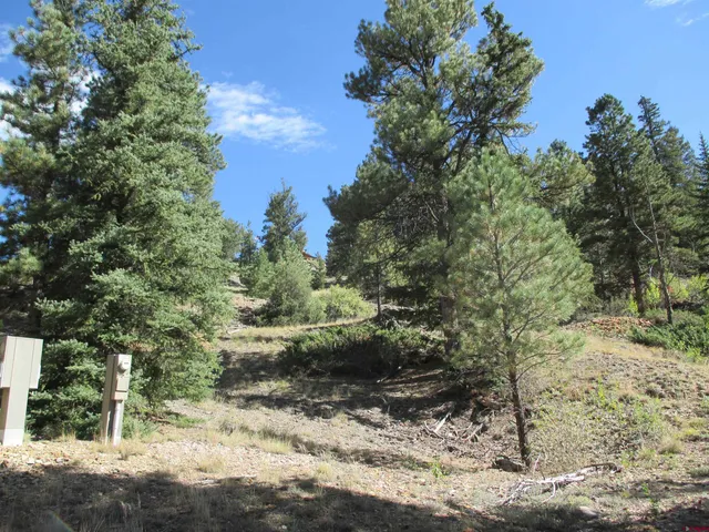 a view of a yard with plants and trees