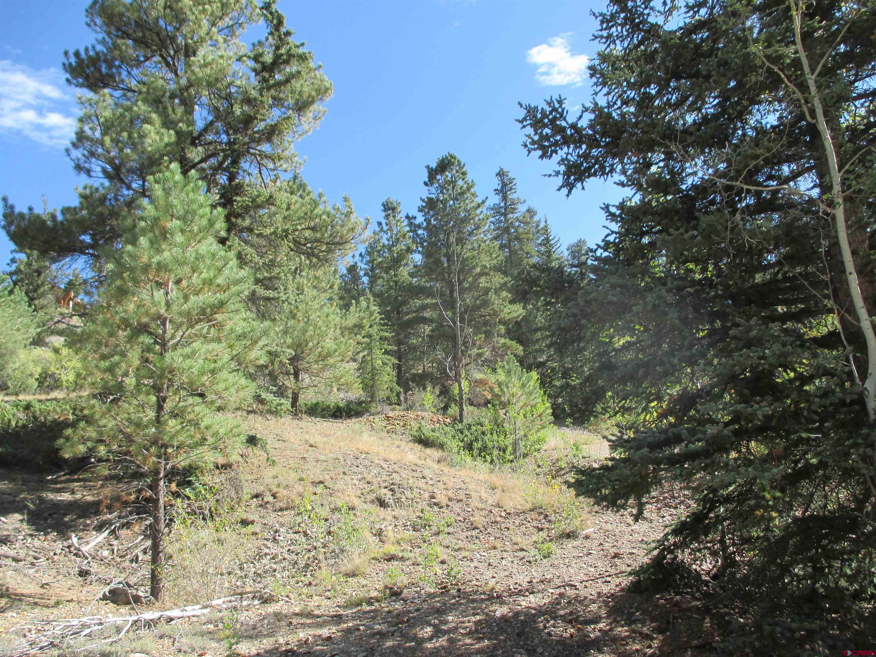 1400 Slumgullion Road Lake City, CO 81235 - Photo 5 of 35 a view of a forest filled with trees