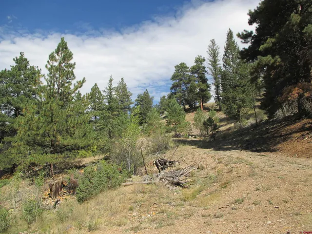 a view of a yard covered in snow