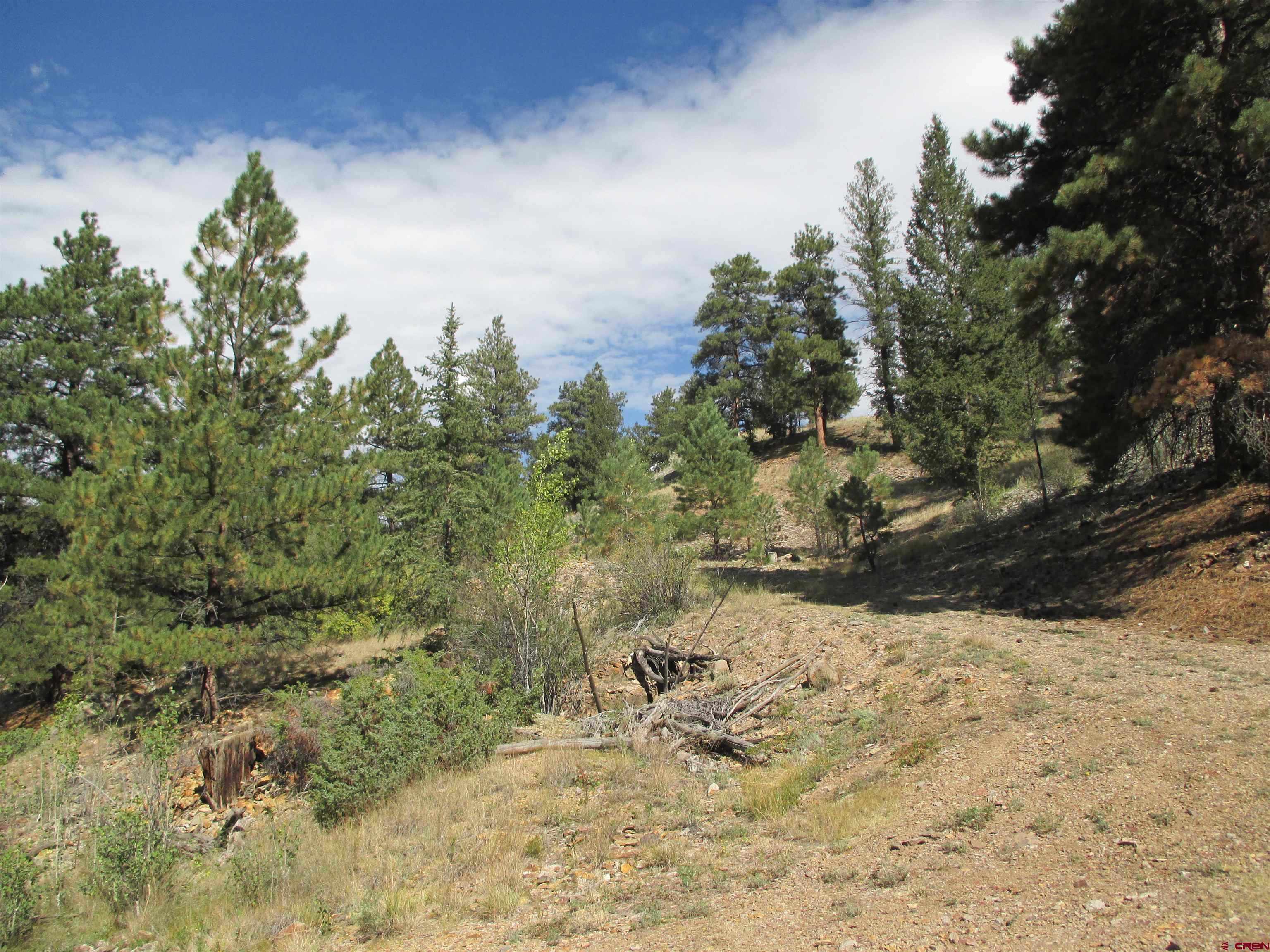 1400 Slumgullion Road Lake City, CO 81235 - Photo 6 of 35 a view of a yard covered in snow