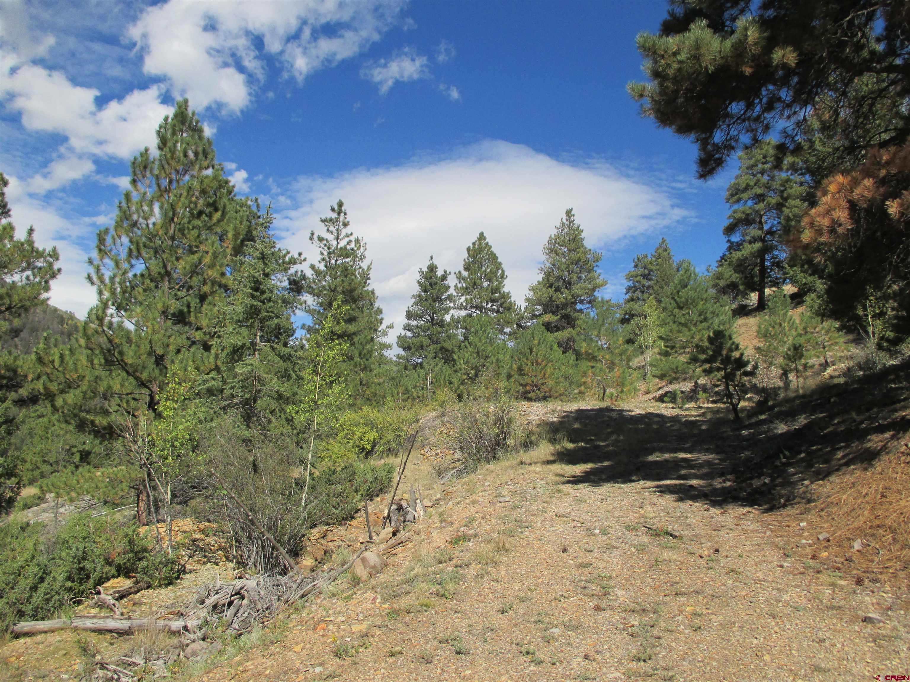 1400 Slumgullion Road Lake City, CO 81235 - Photo 7 of 35 a view of a yard with a tree in it