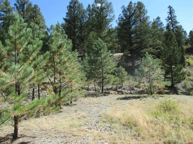 a view of outdoor space and trees