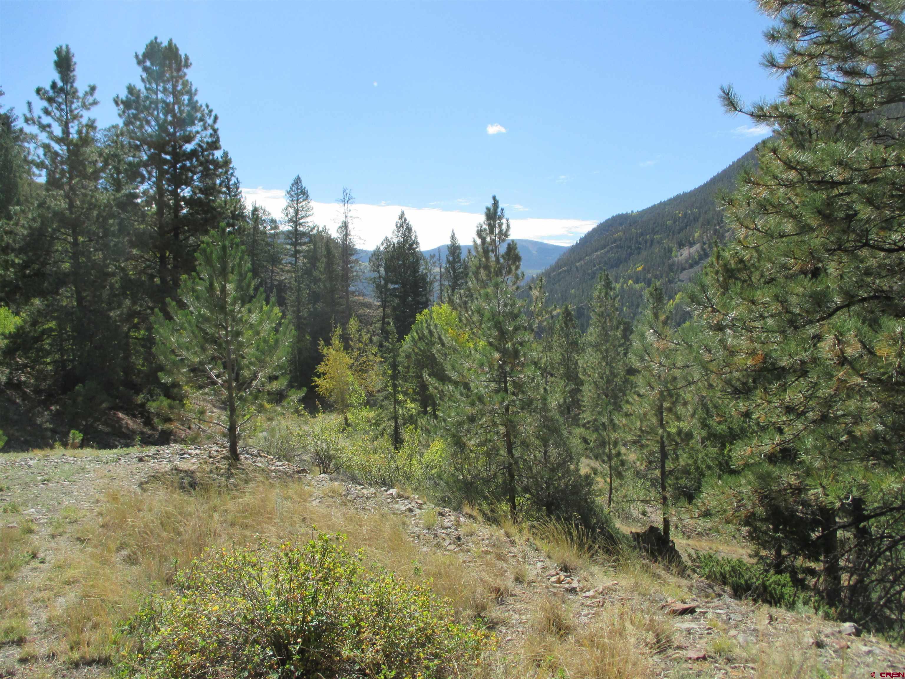 1400 Slumgullion Road Lake City, CO 81235 - Photo 9 of 35 a view of a dry yard with trees