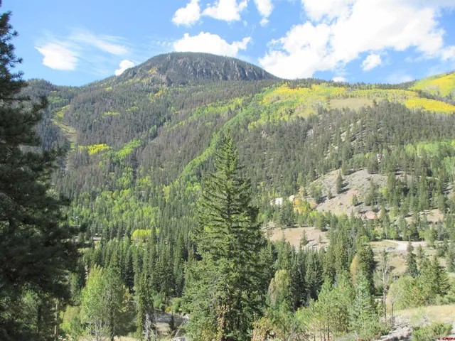 a view of city and green space