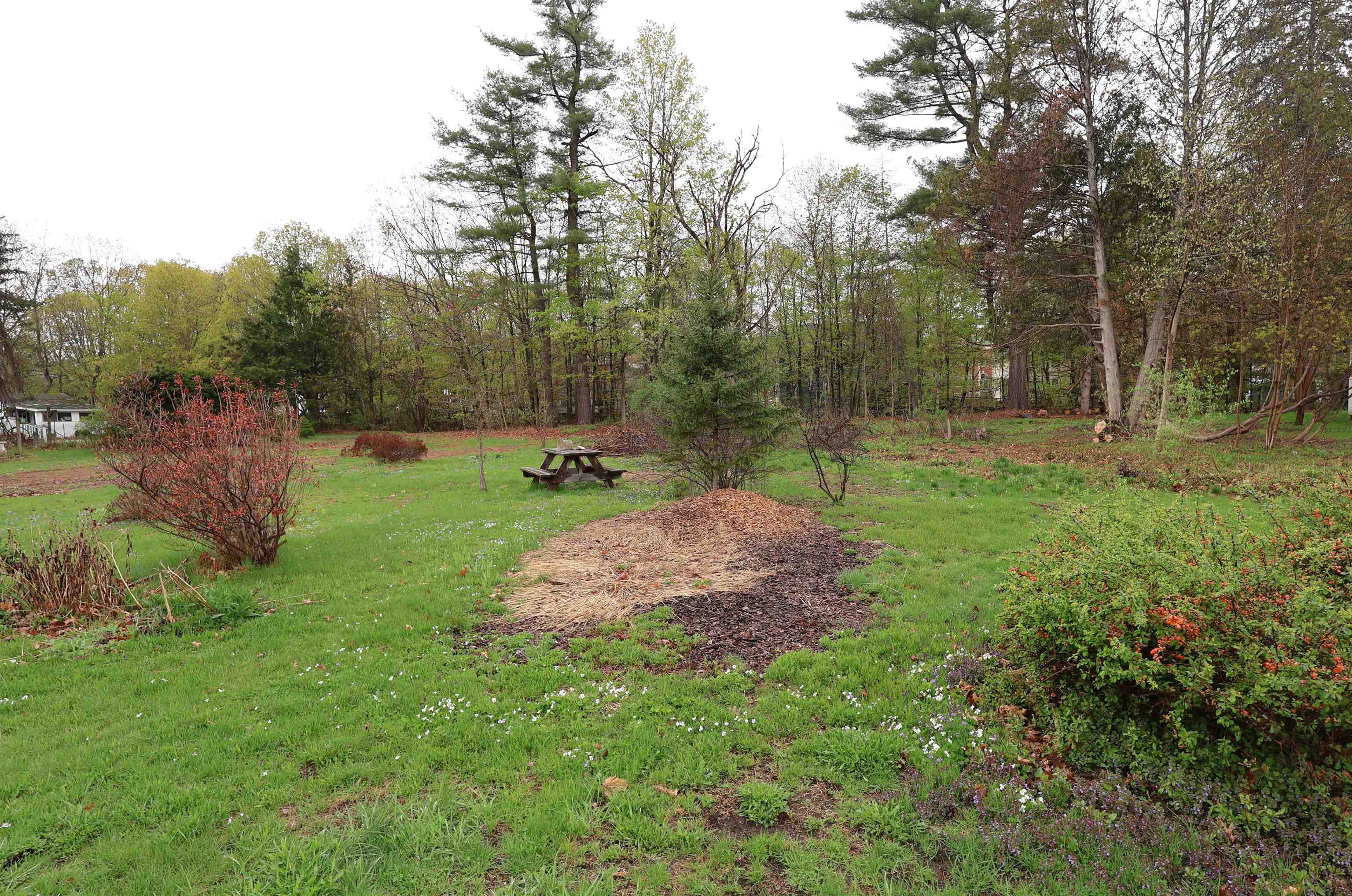 0 Passumpsic Avenue Wilder, VT 05088 - Photo 5 of 5 Gallery Image 5
