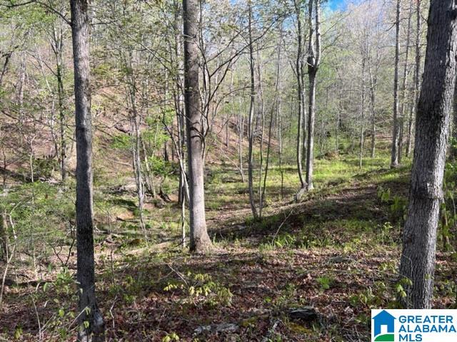 707 Sequoyah Road, Unit 1 Pell City, AL 35128 - Photo 6 of 18