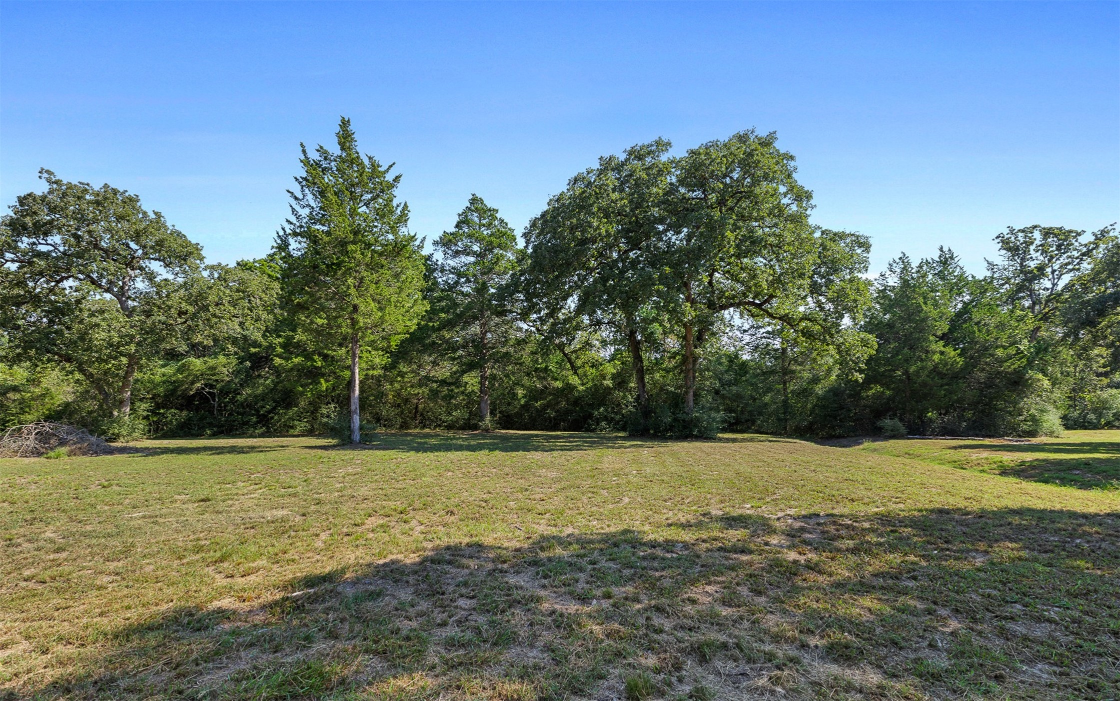 1047 Jimbob Lane New Ulm, TX 78950 - Photo 11 of 13 Land