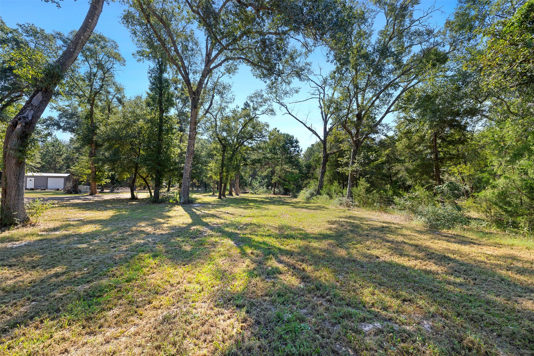 1047 Jimbob Lane New Ulm, TX 78950 - Photo 9 of 13 Lovely +/-3.136 acre parcel with trees