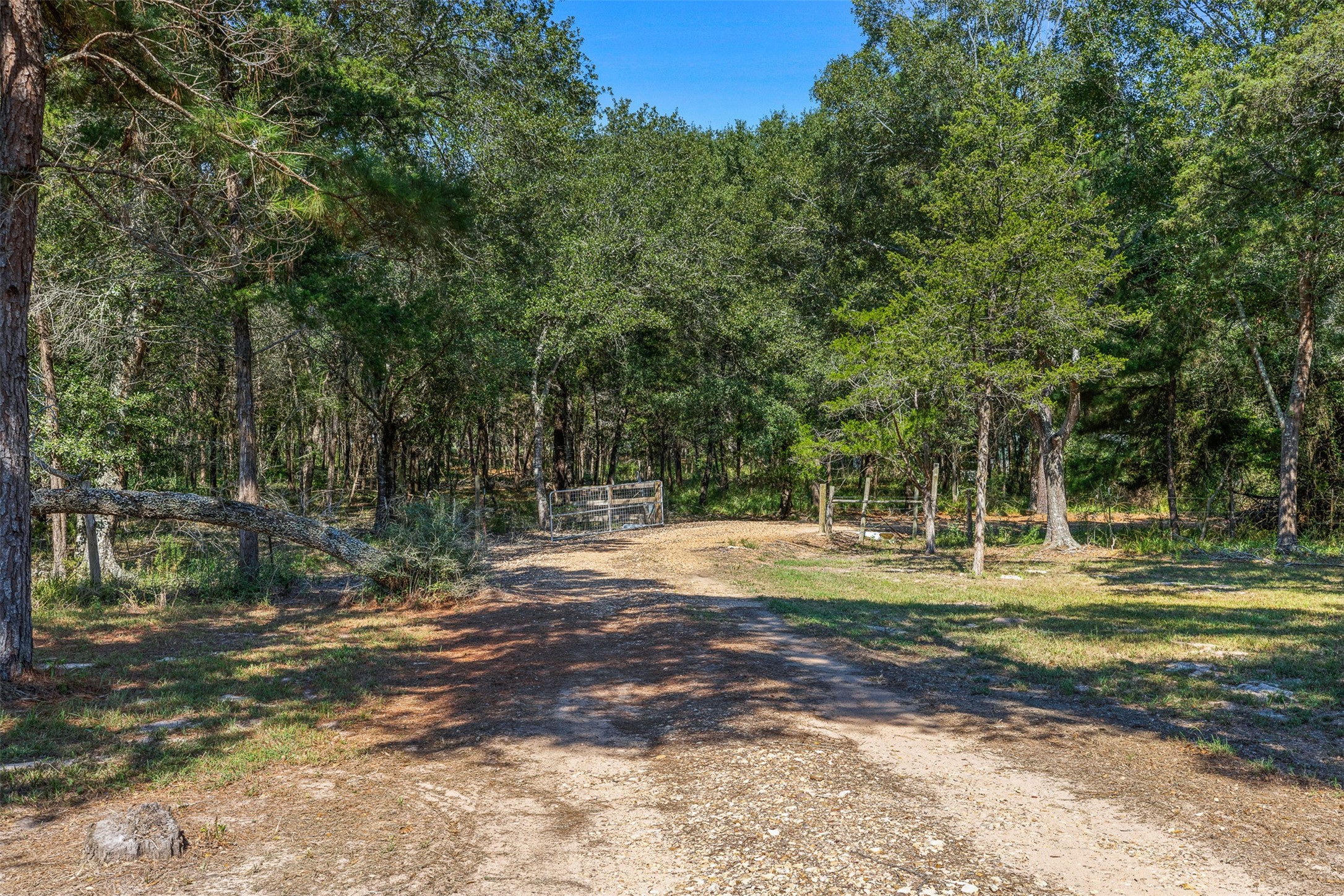 1047 Jimbob Lane New Ulm, TX 78950 - Photo 10 of 13 Land