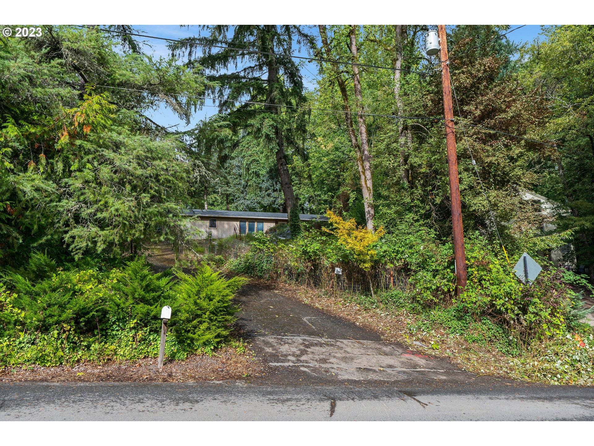 15370 Twin Fir Road Lake Oswego, OR 97035 - Photo 1 of 19 a view of a yard with plants and a bench