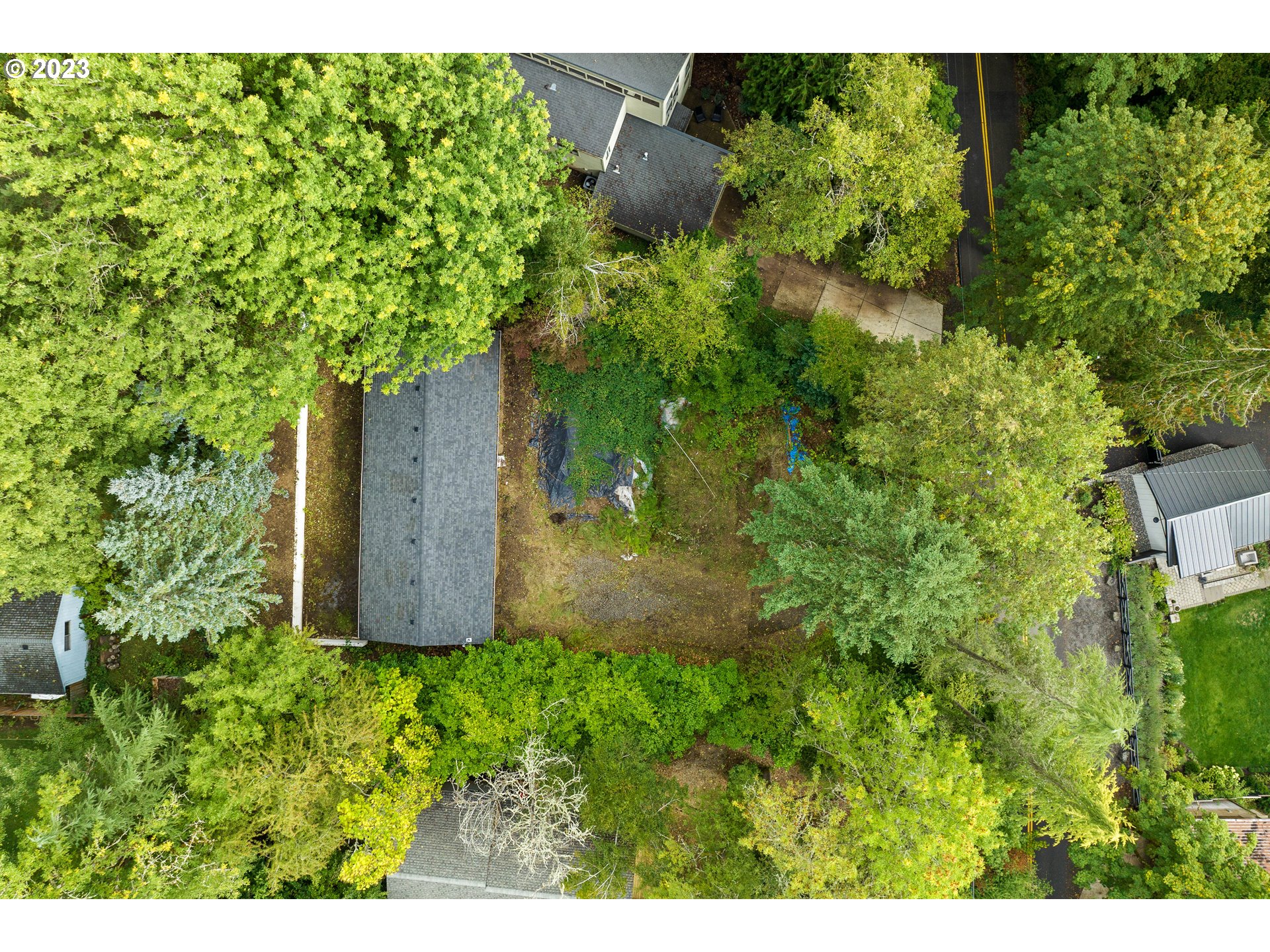 15370 Twin Fir Road Lake Oswego, OR 97035 - Photo 14 of 19 a view of a garden with a tree