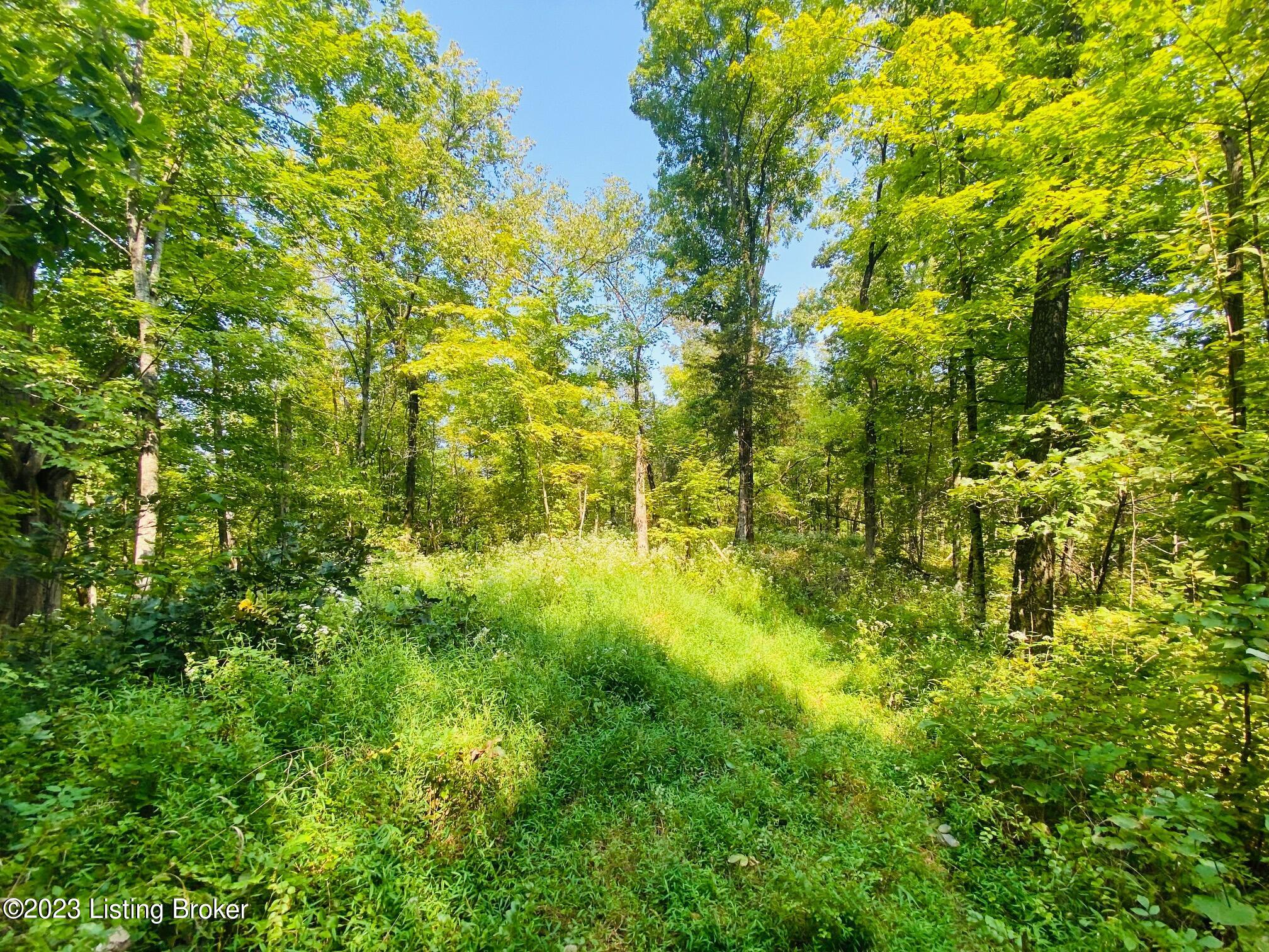 4740 Chaplin Road Willisburg, KY 40078 - Photo 8 of 8 IMG_0243