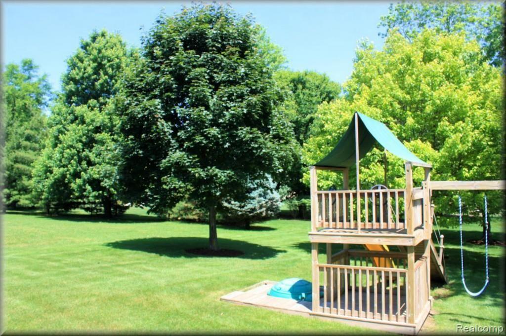 Backyard.jpg