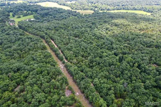 $42,750 | 0 Cr537 (tract 7), Fredericktown, MO 63645