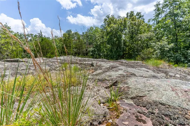 $42,750 | 0 Cr537 (tract 7), Fredericktown, MO 63645