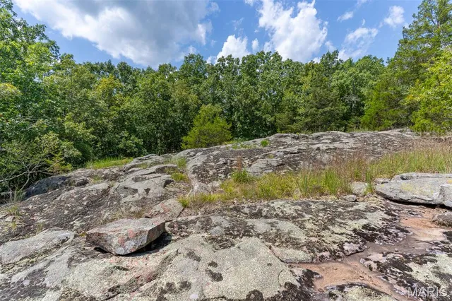 $42,750 | 0 Cr537 (tract 7), Fredericktown, MO 63645