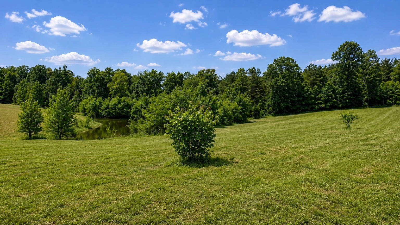 4501 West Tennessee City Road McEwen, TN 37101 - Photo 8 of 72