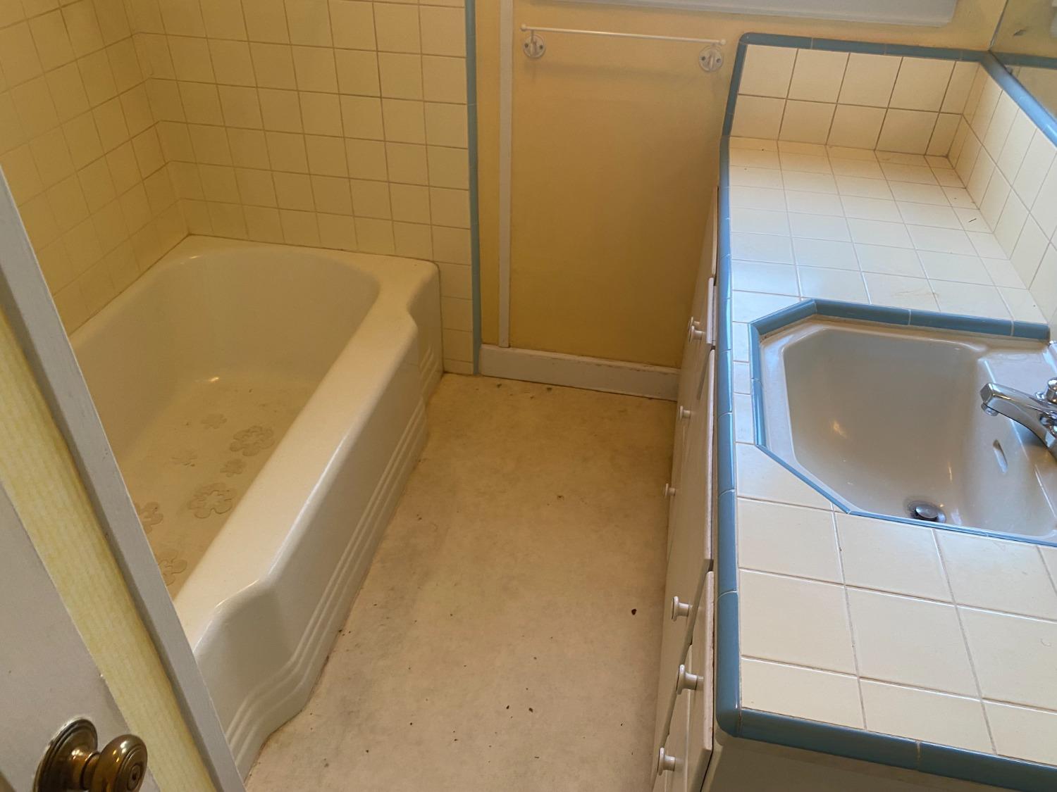 2828 E Street Selma, CA 93662 - Photo 16 of 17 a bathroom with a tub