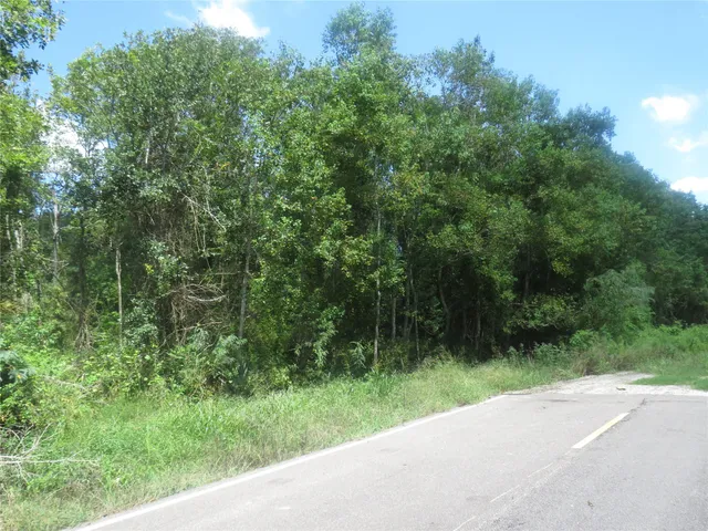 a view of a lush green forest