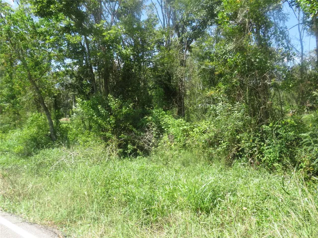 a view of a street both side of a yard