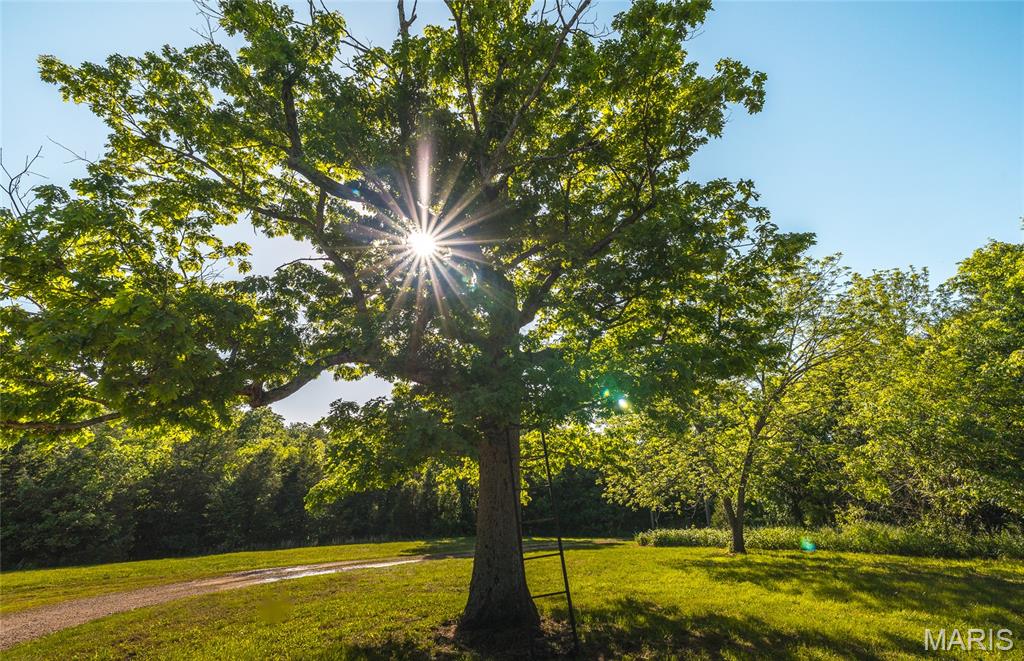 6720 Rock Road Bourbon, MO 65441 - Photo 25 of 72