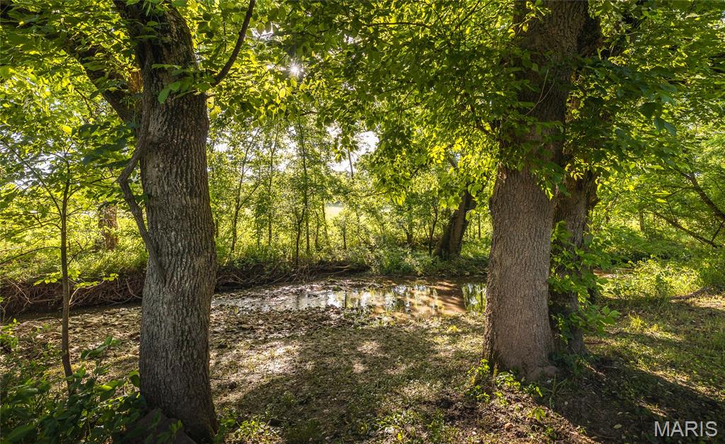 6720 Rock Road Bourbon, MO 65441 - Photo 36 of 72