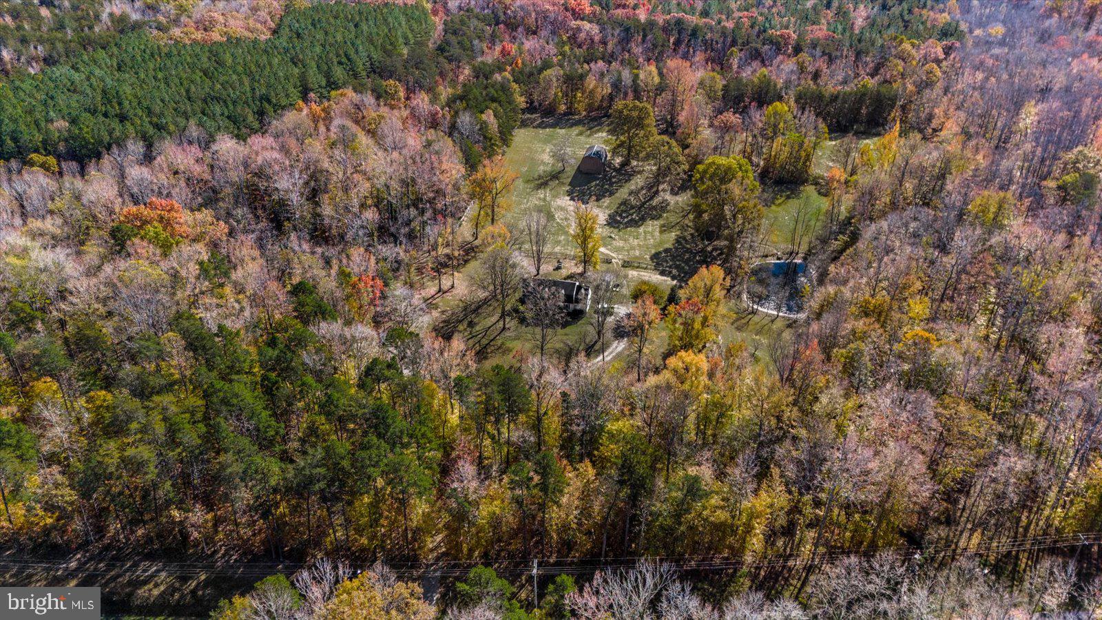 316 Copper Line Road Bumpass, VA 23024 - Photo 39 of 77 a view of a forest