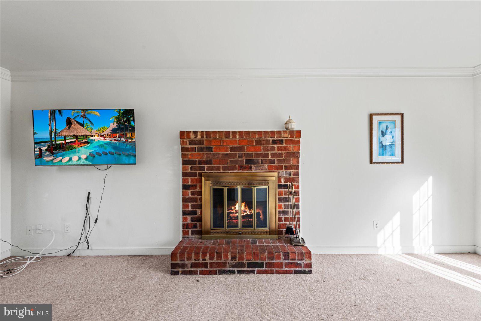 316 Copper Line Road Bumpass, VA 23024 - Photo 58 of 77 a living room with furniture a fireplace and a flat screen tv