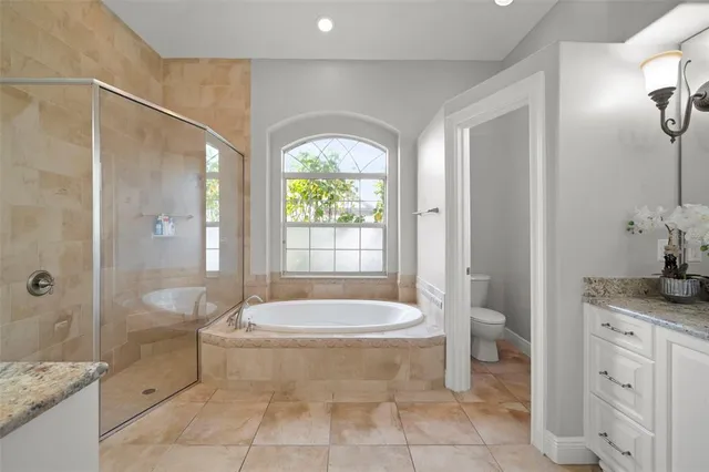 a bathroom with a granite countertop sink a toilet and shower