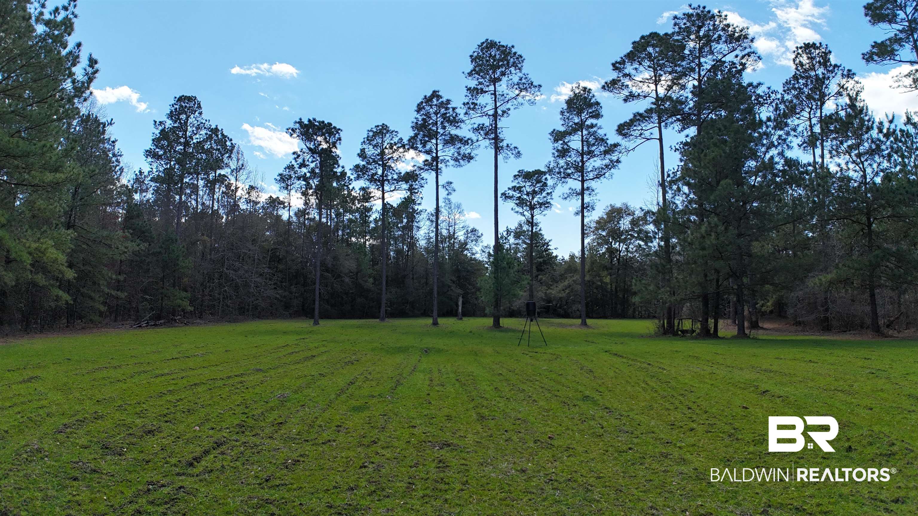 11808 Abb Road Tibbie, AL 36583 - Photo 11 of 31 View of yard featuring a view of trees