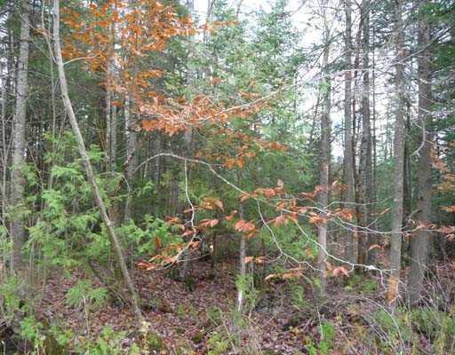 Lot 40 Phillips Road Glenburn, ME 04401 - Photo 3 of 12 Other.