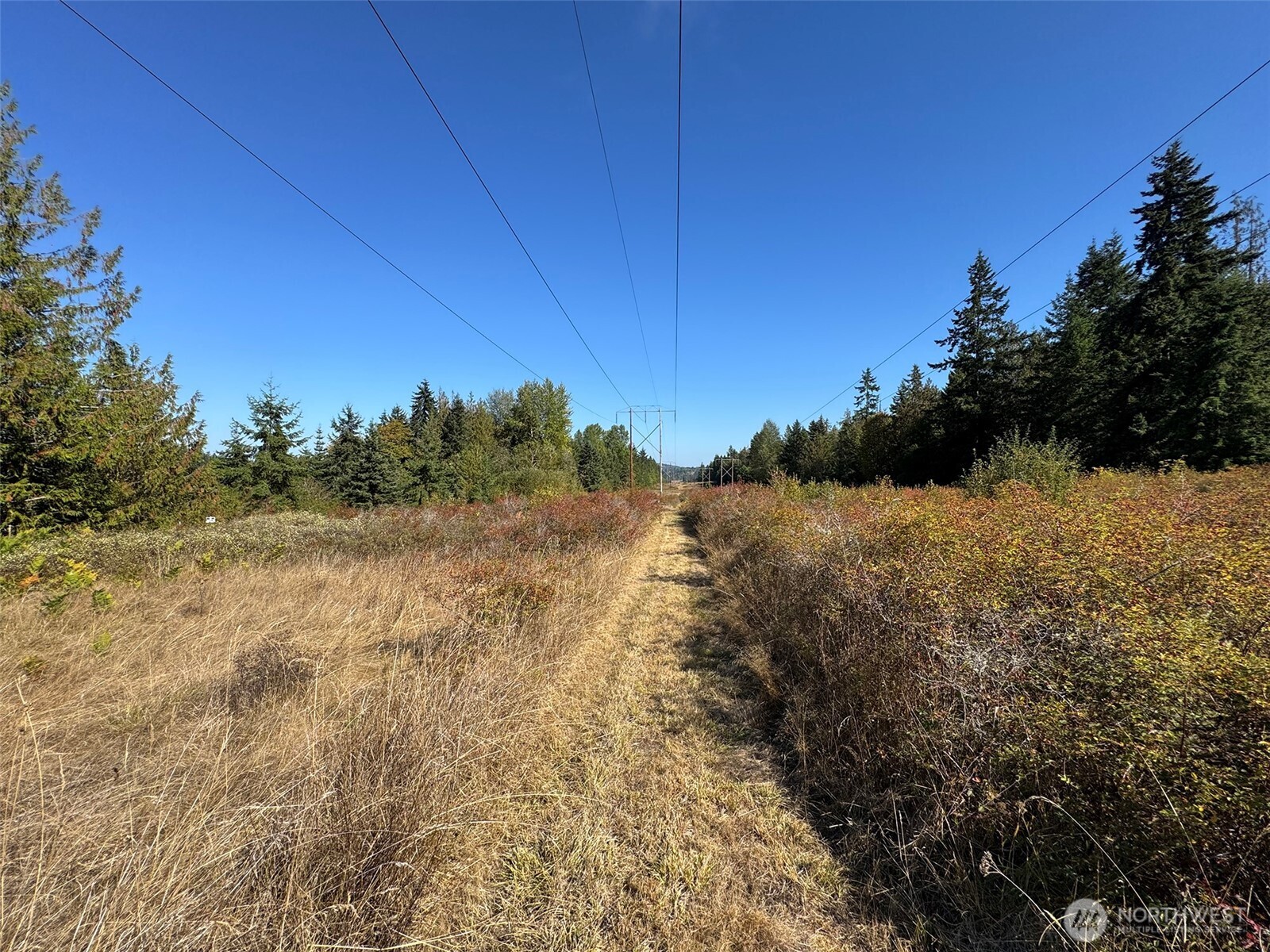 9999 Hooker Road Sequim, WA 98382 - Photo 34 of 40 Gallery Image 34