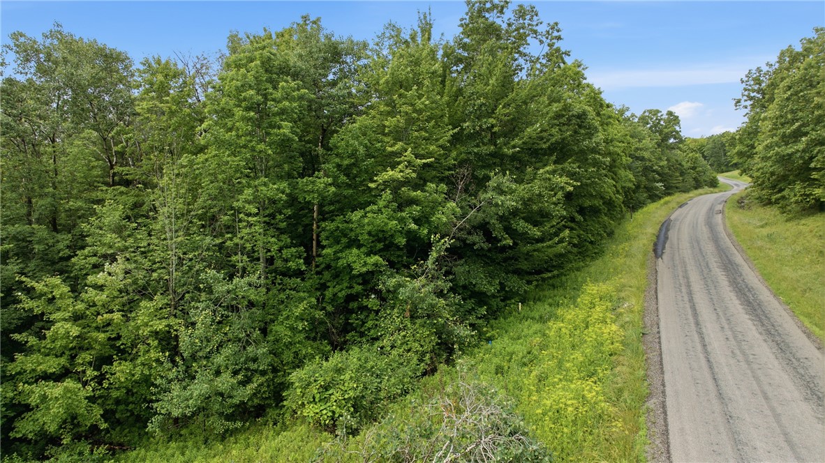 Dunn Road Pine Valley, NY 14872 - Photo 5 of 14