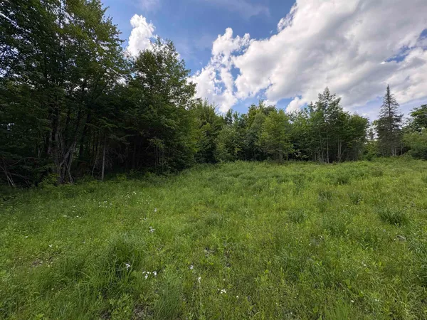 $59,000 | 208 Drake Pl Road, Sheffield, VT 05866