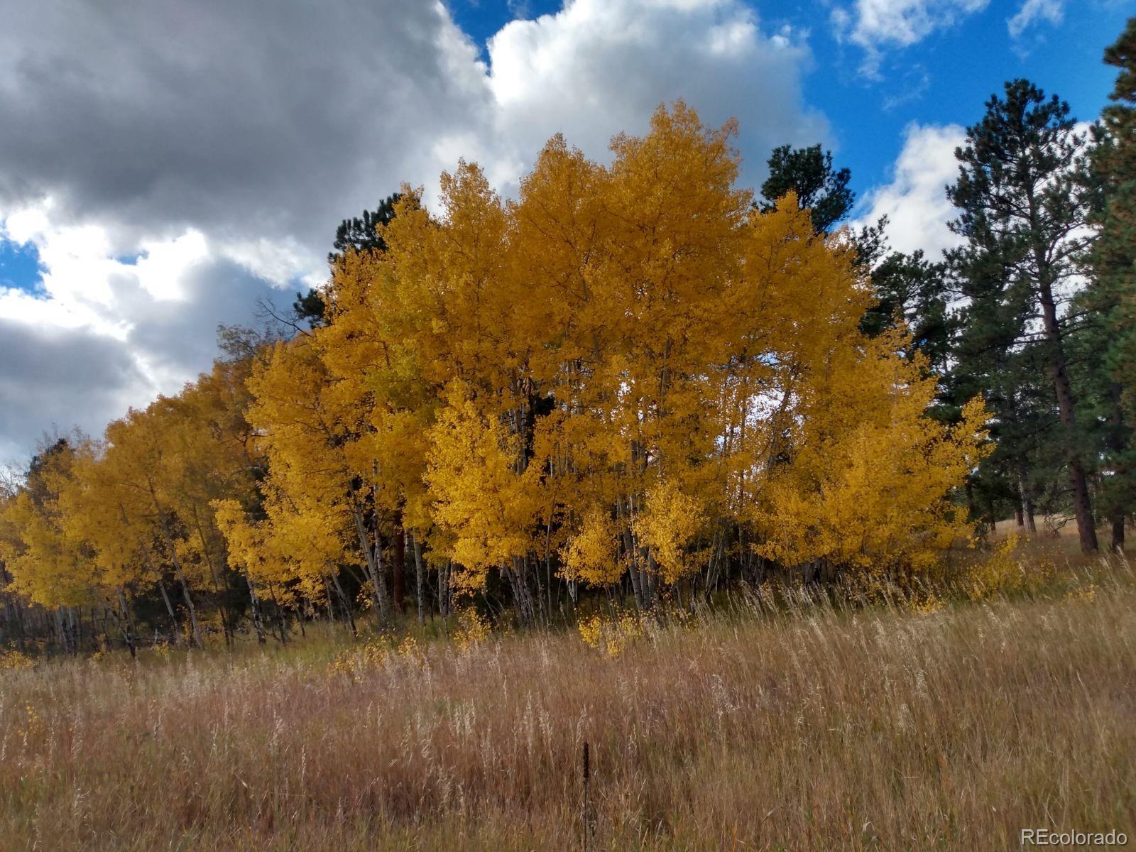 Spring Creek Road Buffalo Creek, CO 80425 - Photo 2 of 3
