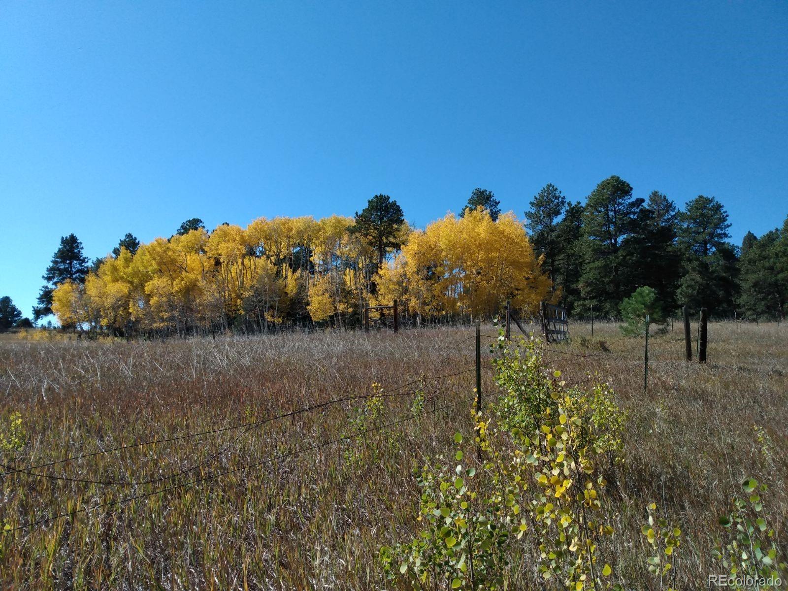 Spring Creek Road Buffalo Creek, CO 80425 - Photo 3 of 3