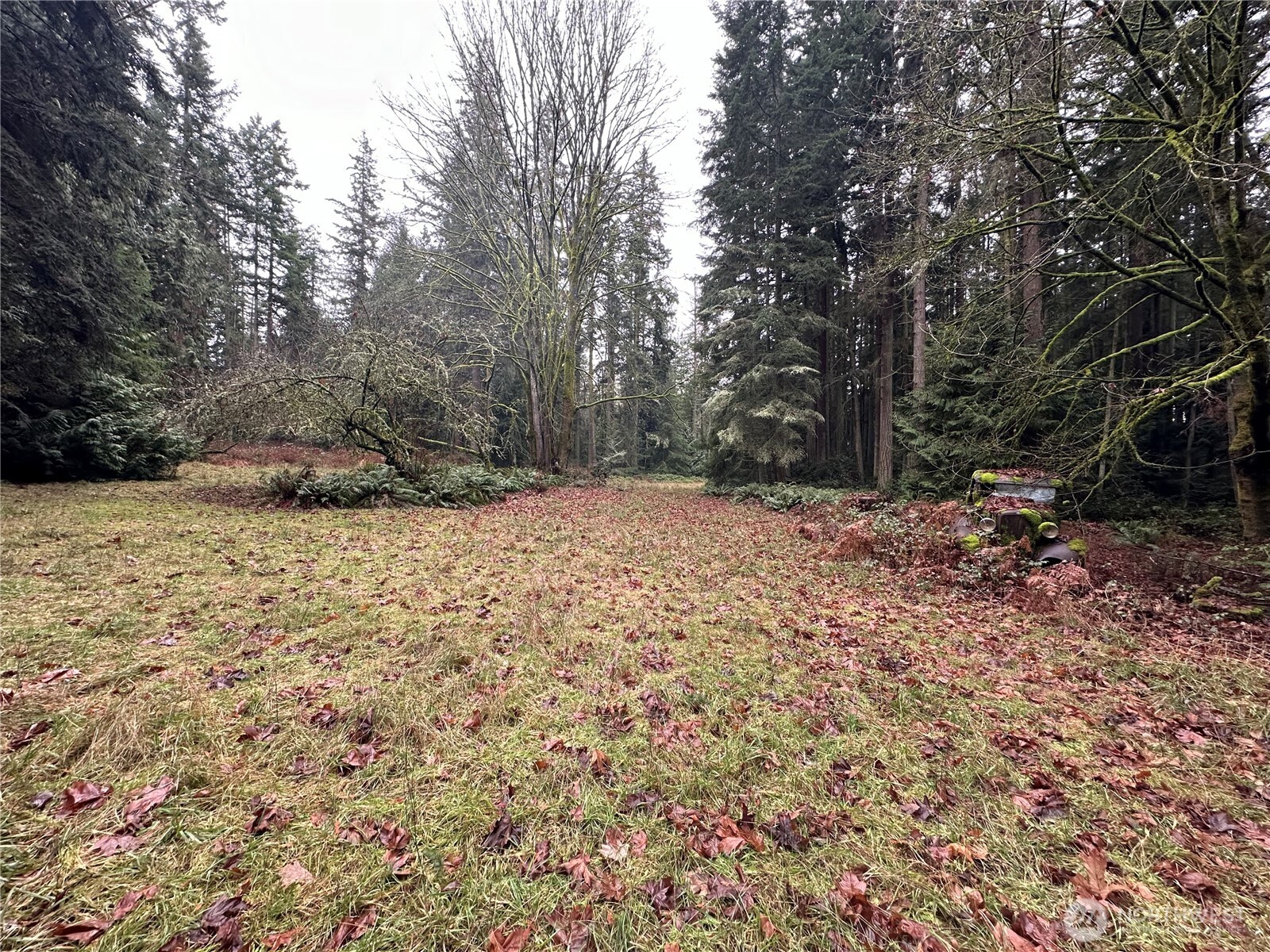0 Bayview Road Clinton, WA 98236 - Photo 1 of 8 Gallery Image 1