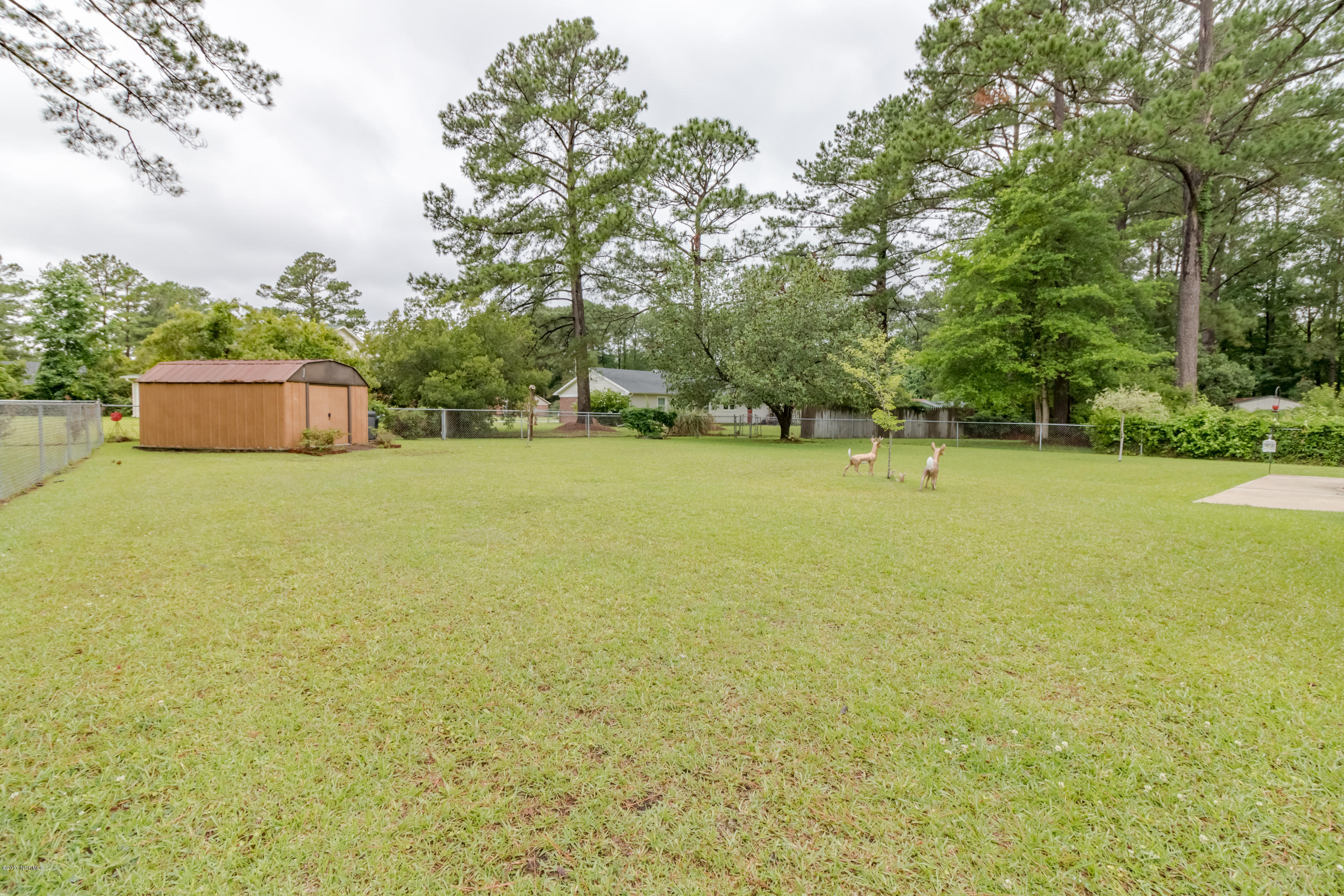 805 Shadowridge Road Jacksonville, NC 28546 - Photo 23 of 25 IMG_7138-HDR-24