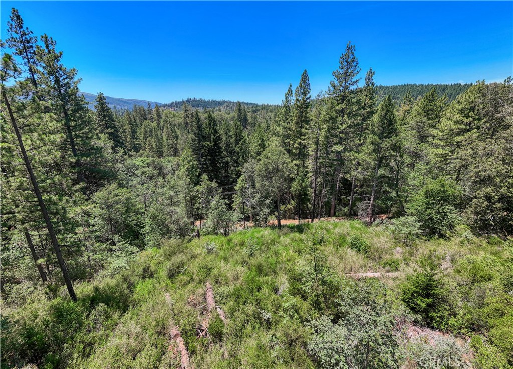 12548 Observation Road Middletown, CA 95461 - Photo 5 of 19