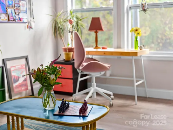 a living room with furniture a rug and a potted plant