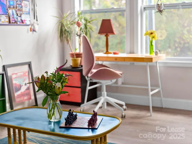 a living room with furniture a rug and a potted plant