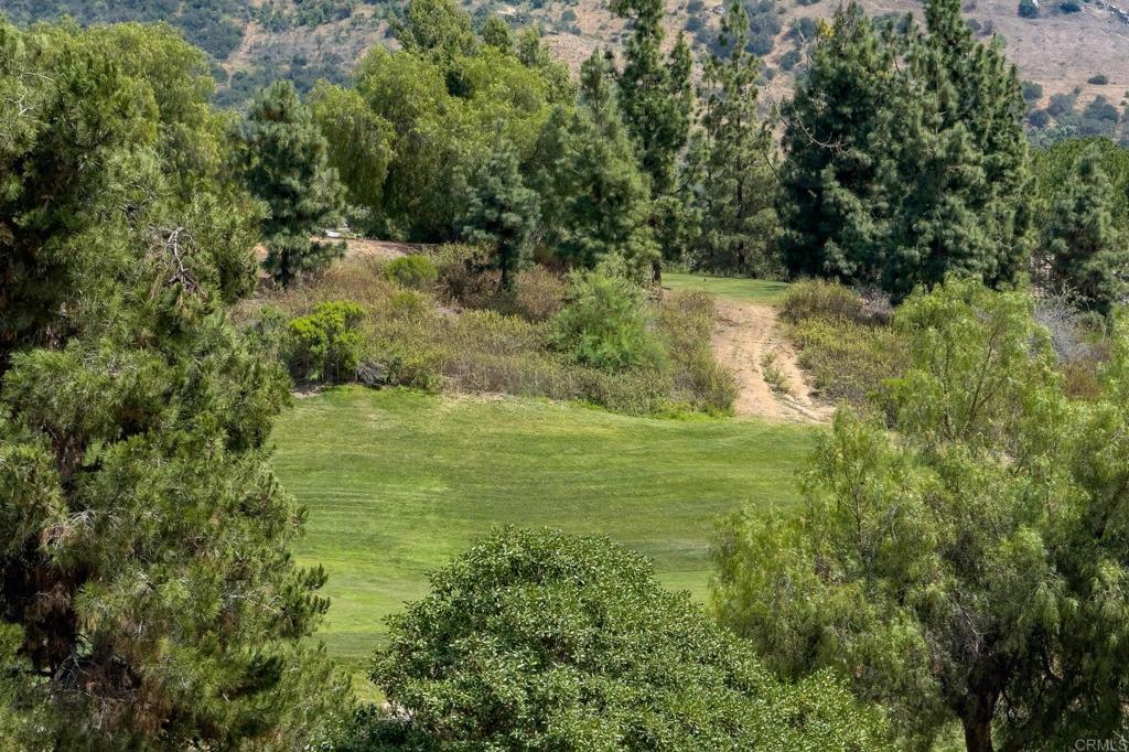 3610 Genista Place Fallbrook, CA 92028 - Photo 56 of 58