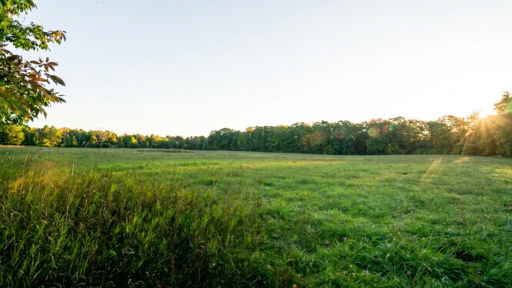 Lot 4 Logerquist Road Baileys Harbor, WI 54202 - Photo 6 of 9