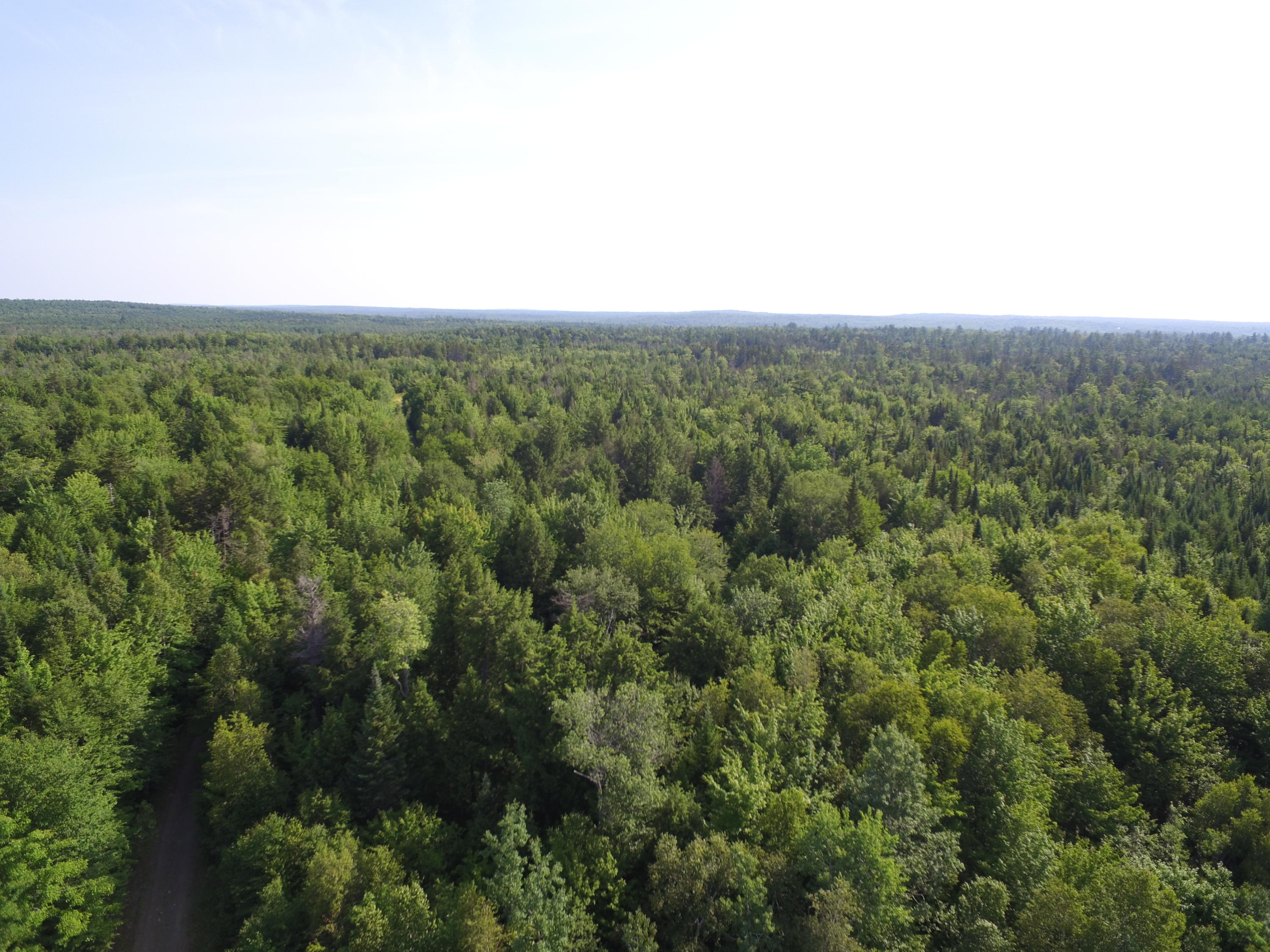Tbd West Tbd W Indian Road Lincoln, ME 04457 - Photo 7 of 18 DJI_0466