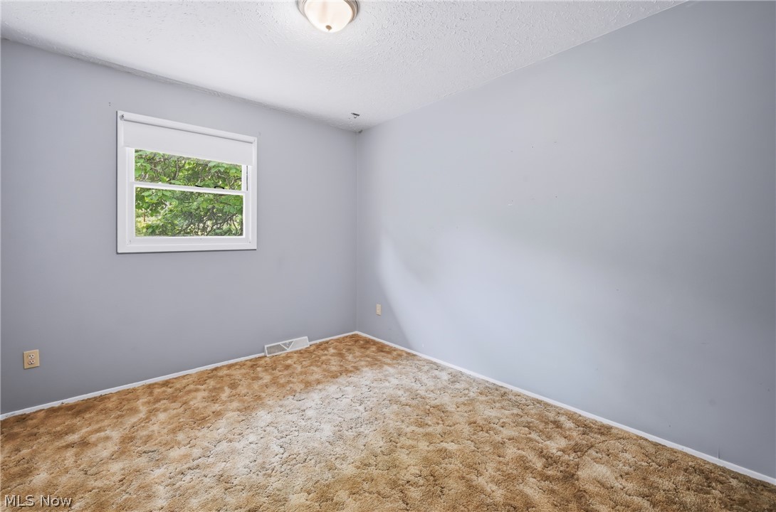 1501 Ohltown McDonald Road Mineral Ridge, OH 44440 - Photo 20 of 32 Room with light blue walls and brown textured carpeting