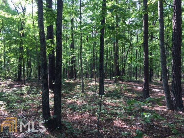 0 Montgomery Road, Unit TRACT 2 Greenville, GA 30230 - Photo 1 of 1 Gallery Image 1