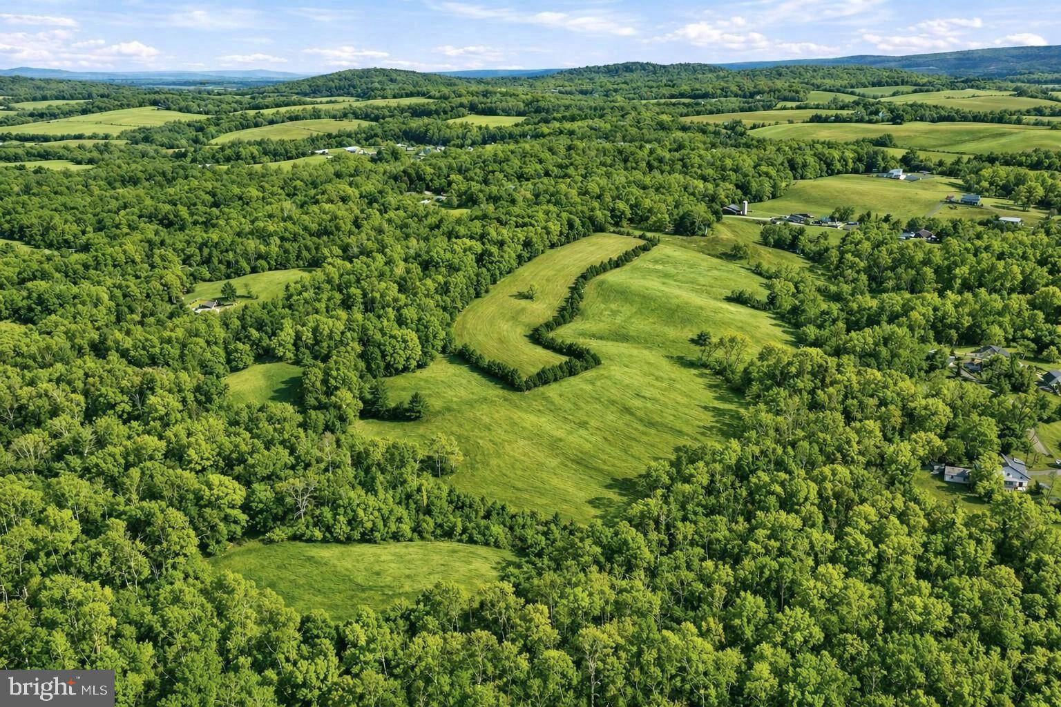 Lot A Trasara Road Rapidan, VA 22733 - Photo 10 of 15